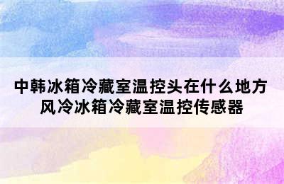 中韩冰箱冷藏室温控头在什么地方 风冷冰箱冷藏室温控传感器